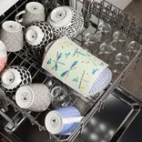 Swedish Dishcloth, Dragonfly