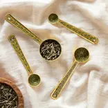 Brio Enameled Measuring Spoons Set of 4