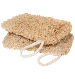 Loofah Dish Sponges Set of 2