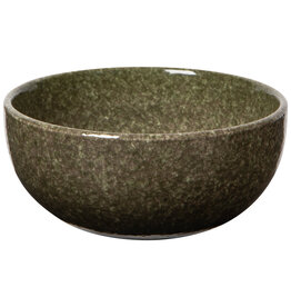 Dapple Cypress Green Bowl 5.5inch