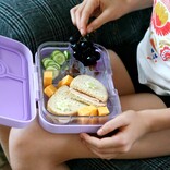 Yumbox Panino, Purple
