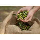 Kalios Olive Oil - 01, 500ml