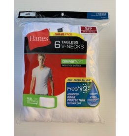 Mens Hanes V- Neck T-Shirt