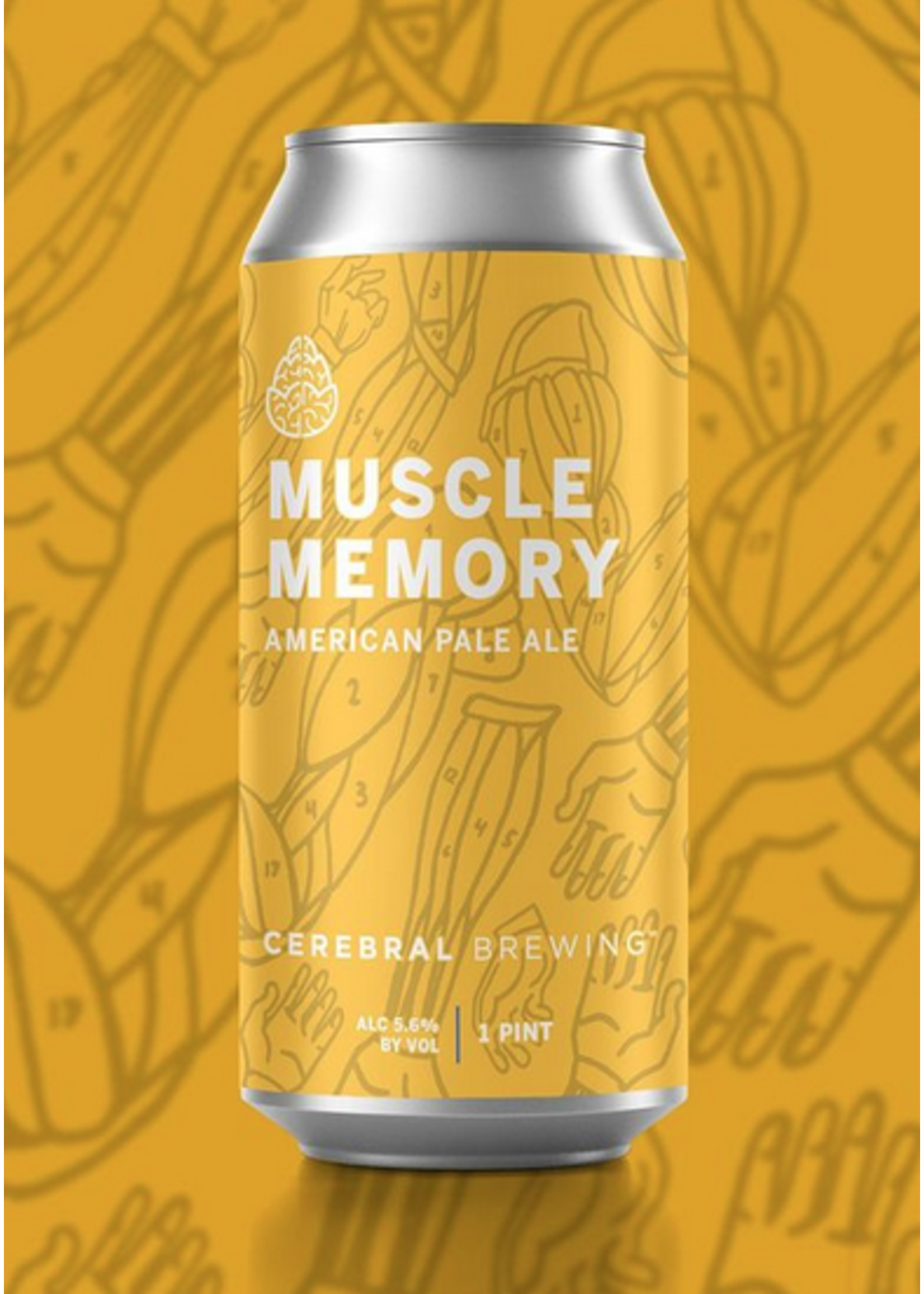 Cerebral Brewing Beer 4Pack - Cerebral Brewing - Muscle Memory