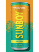 Sunboy Seltzer- Sunboy- Pineapple