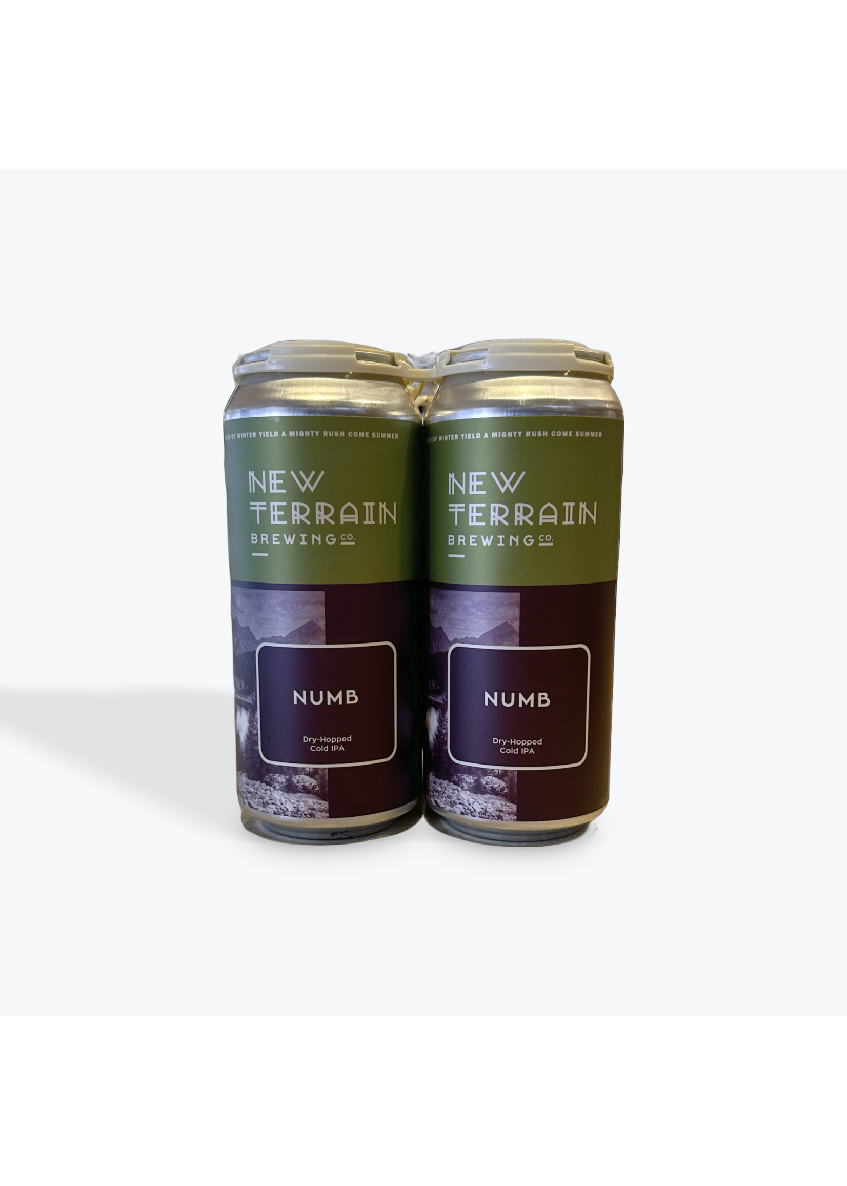 New Terrain Brewing Company Beer 4Pack - New Terrain Brewing - Numb