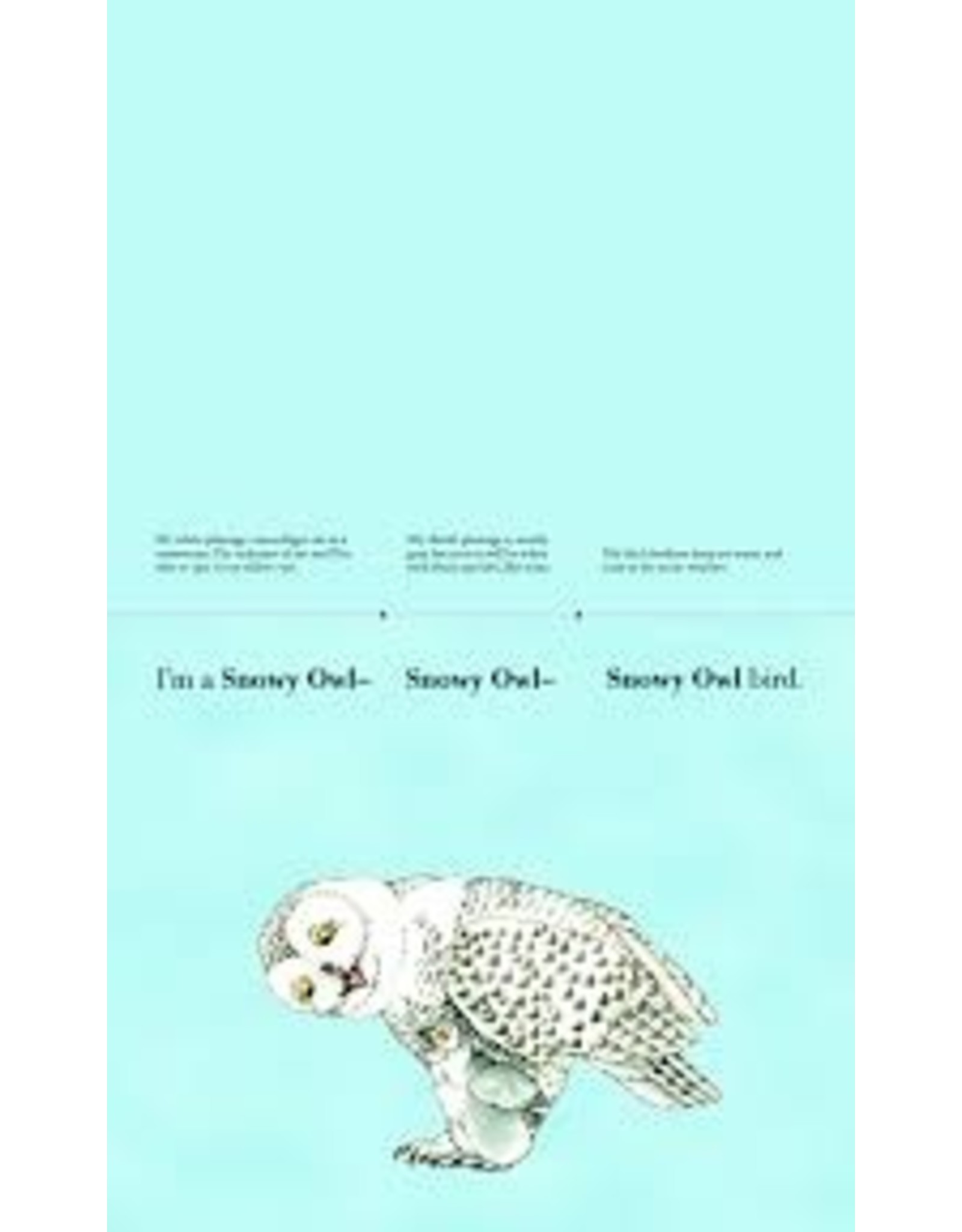 Books Flip-A- Feather by Sara Ball