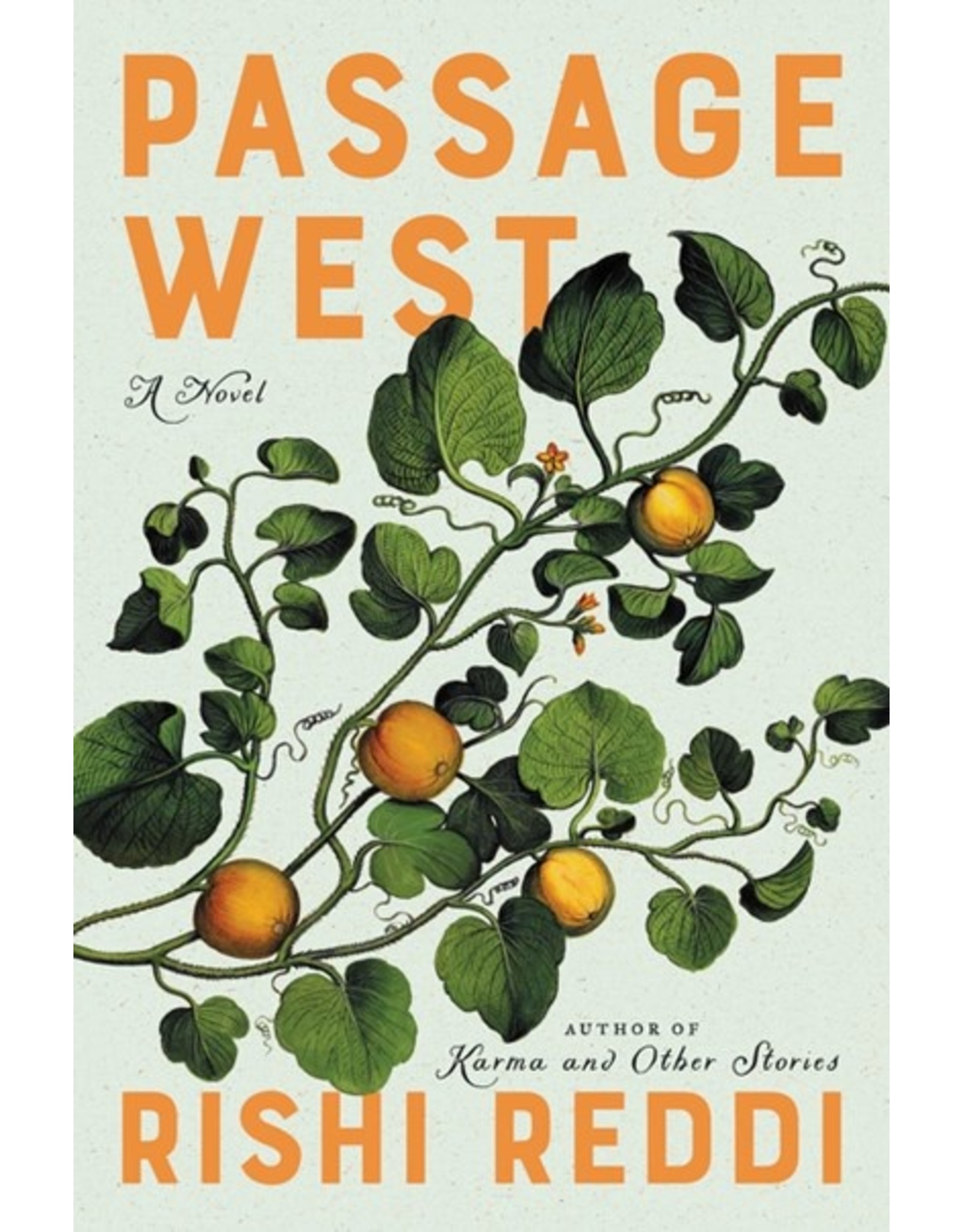 Books Passage West : A Novel  Rishi Reddi