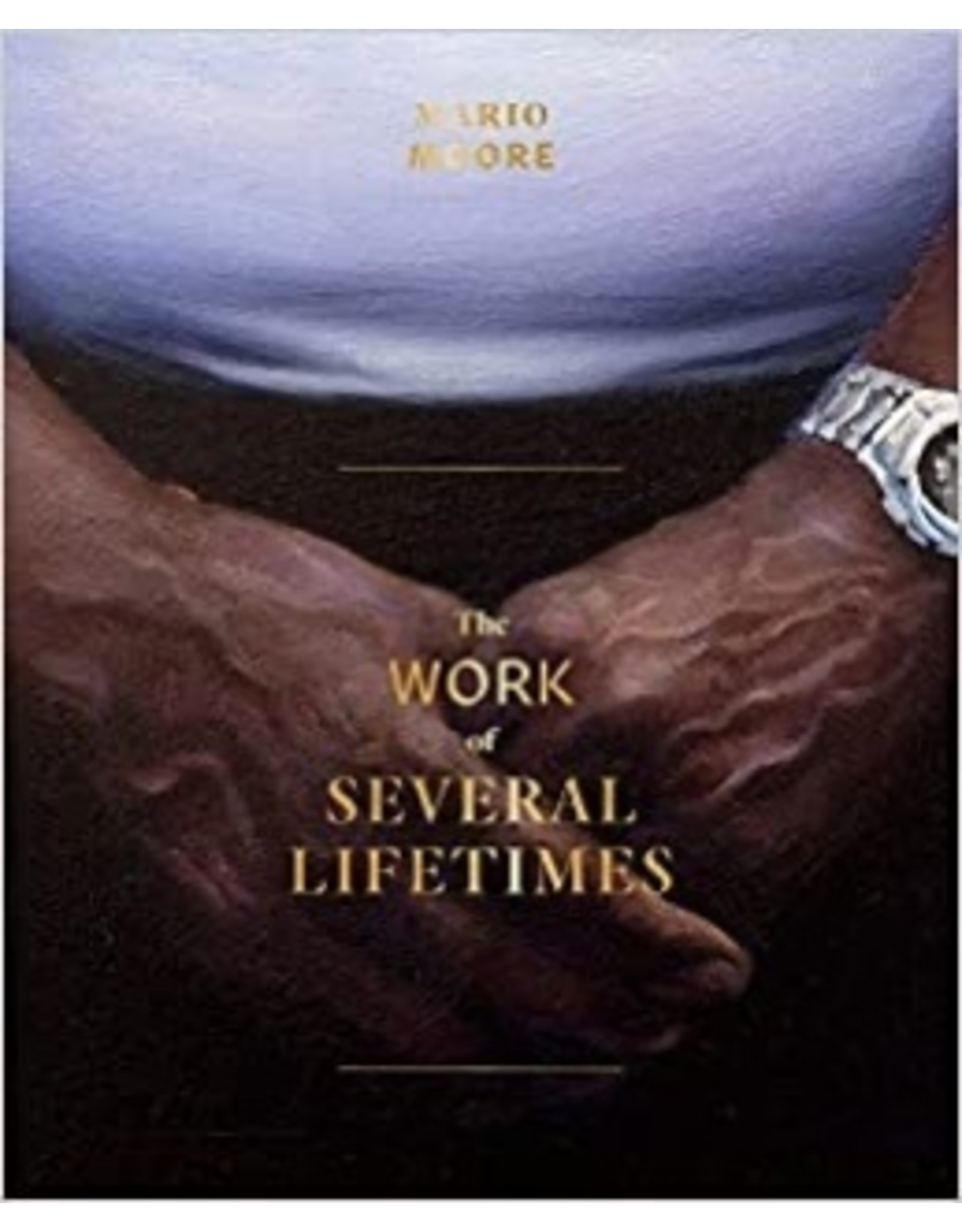 Books The Work of Several Lifetimes by Mario Moore