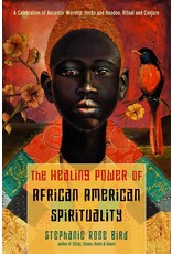 Books The Healing Power of African American Spirituality by Stephanie Rose Bird