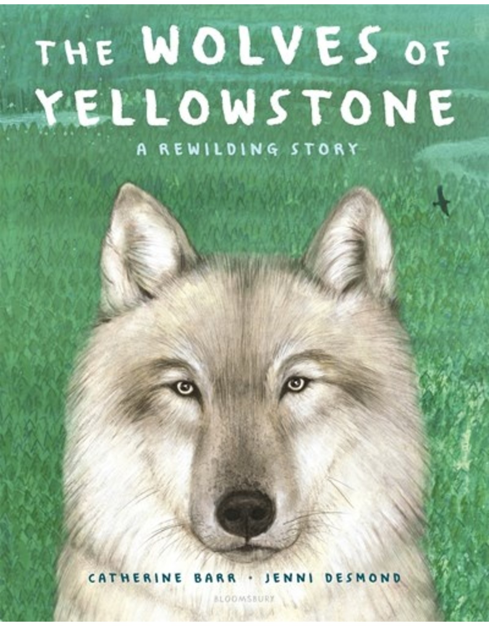 Books The Wolves of Yellowstone : A Rewilding Story by Catherine Barr  and Jenni Desmond