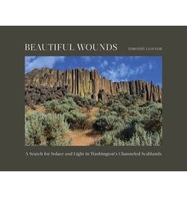 Beautiful Wounds by Timothy Connor