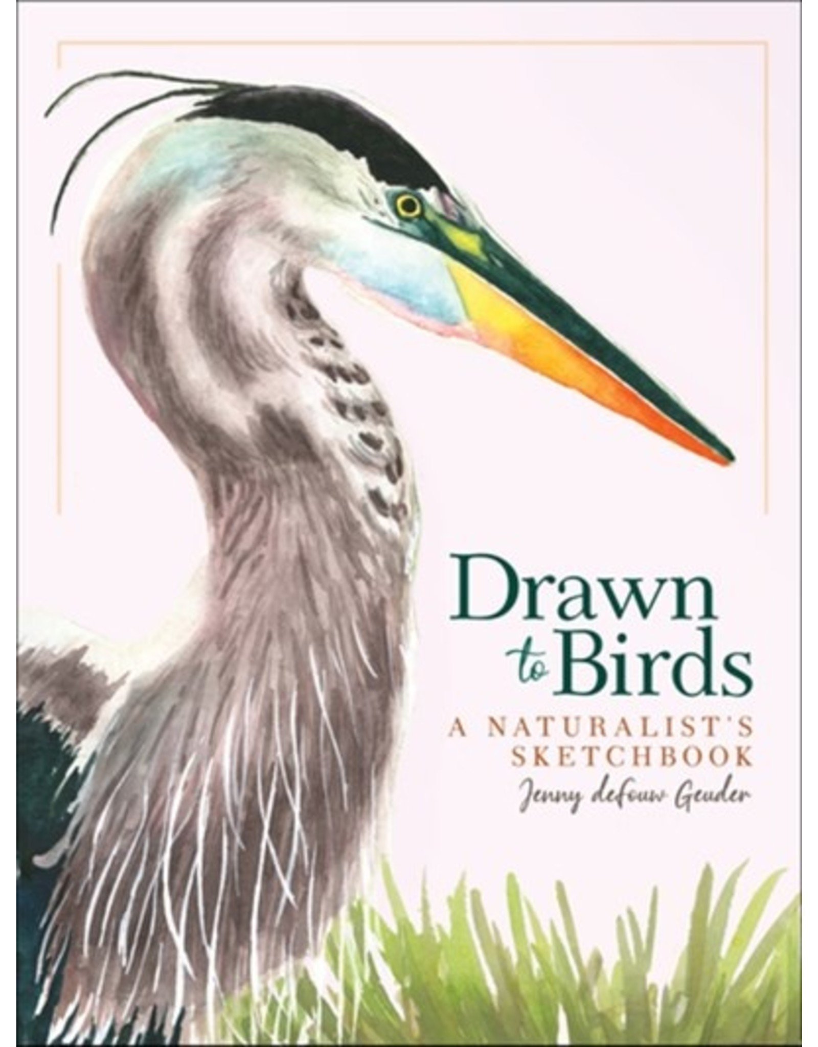 Books Drawn to Birds : A Naturalists Sketchbook by Jenny DeEouw  Geuder