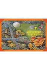 Books Outdoor: School Tree, WildFlower, and Mushroom Spotting by Mary Kay Carson