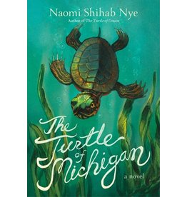 Books The Turtle of Michigan by Naomi Shihab Nye