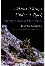 Books Many Things Under a Rock by David Scheel