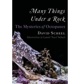 Books Many Things Under a Rock by David Scheel