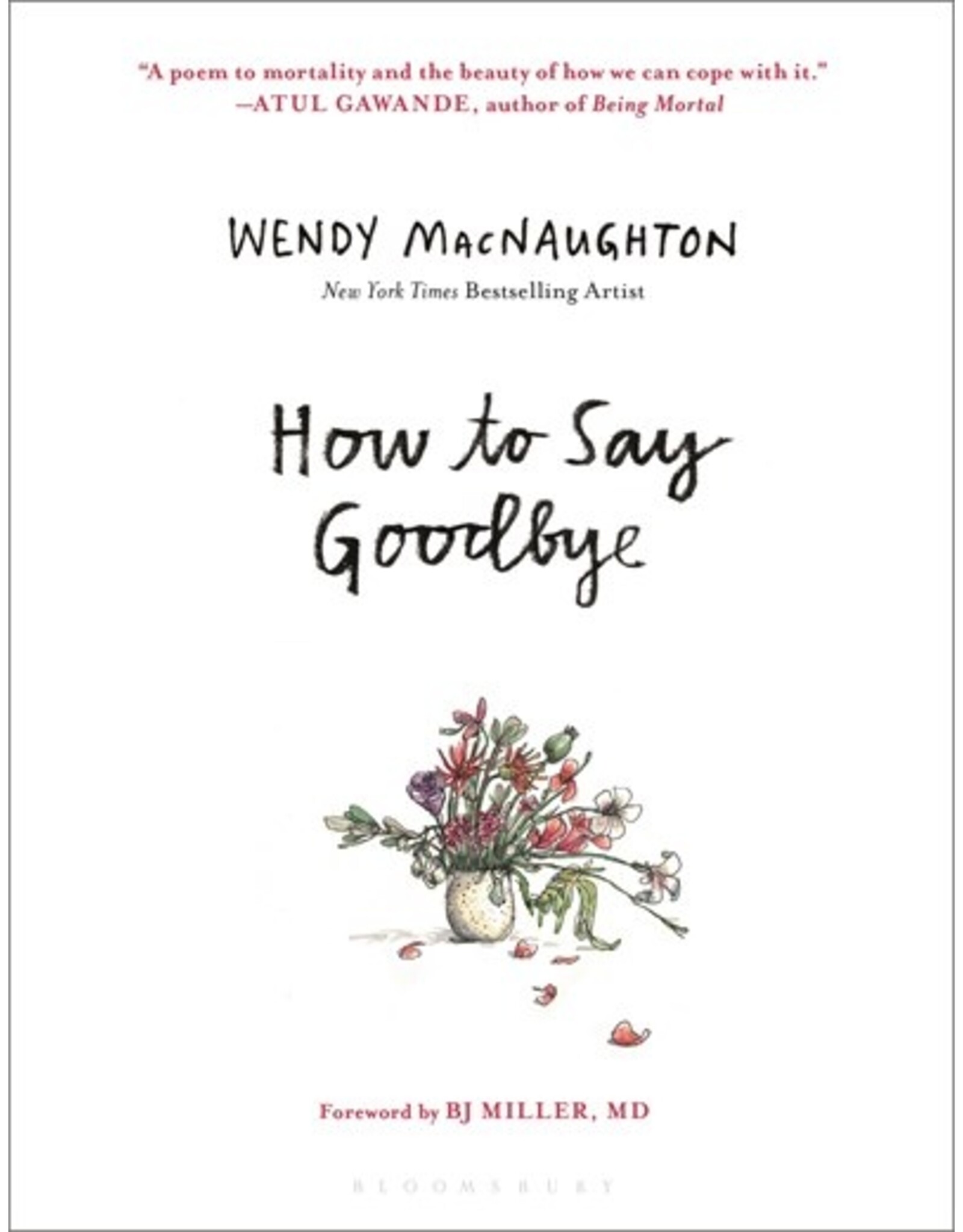 Books How to Say Goodbye by Wendy Macnaughton