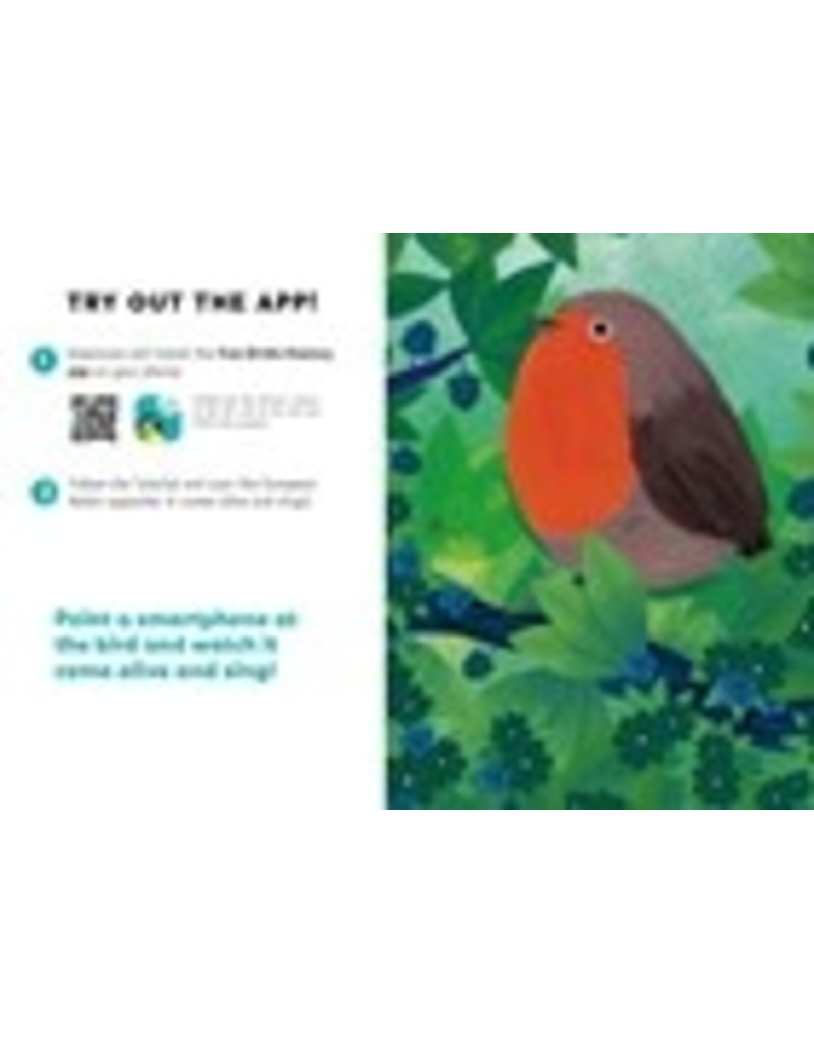 Books Listen to the Birds by Donald Kroodsma, Lena Mazilu and Yoann Gueny