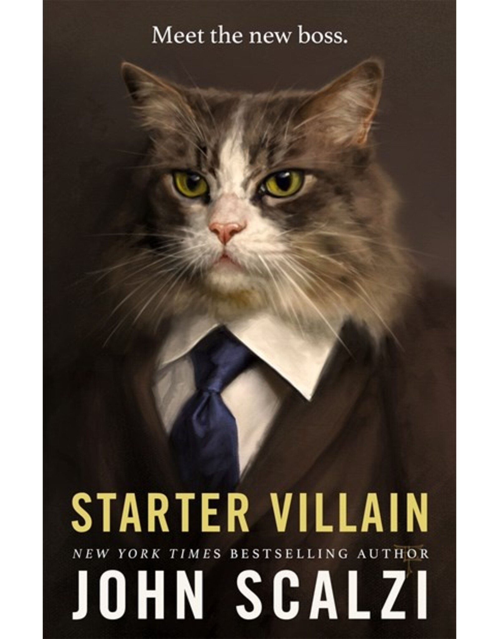 Books Starter Villain: Meet the Boss  by John Scalzi