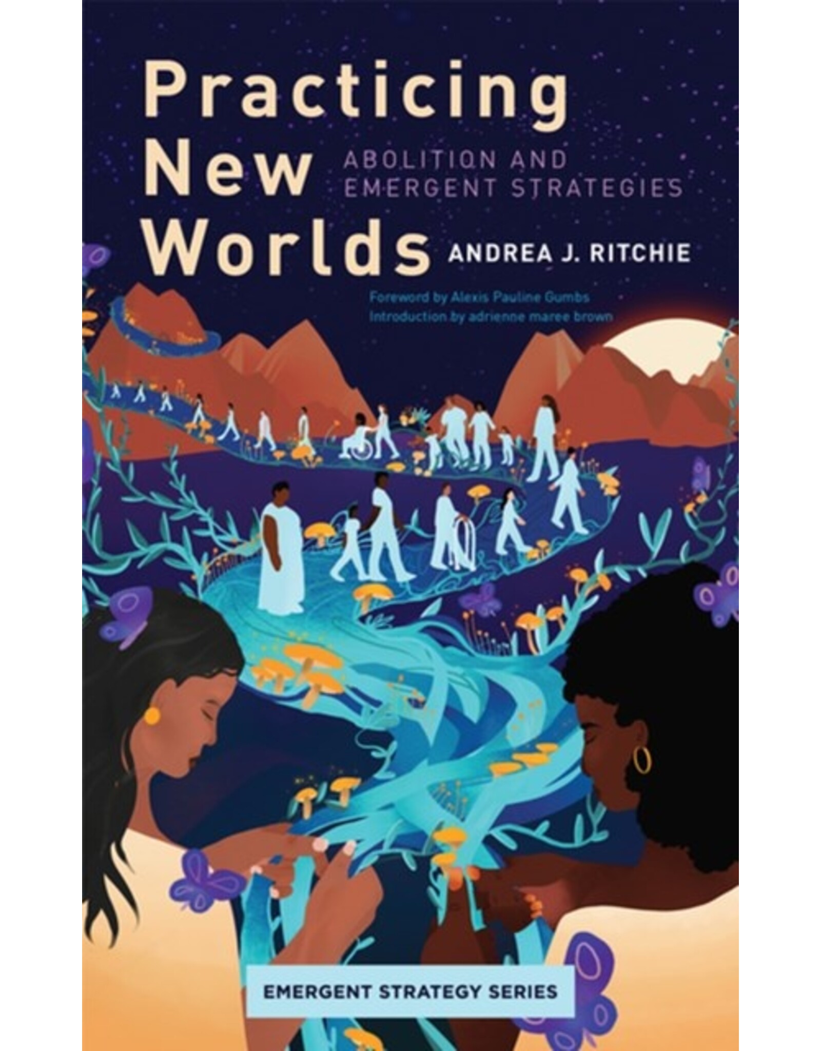 Books Practicing New Worlds : Abolition and Emergent Strategies by Andrea J Ritchie