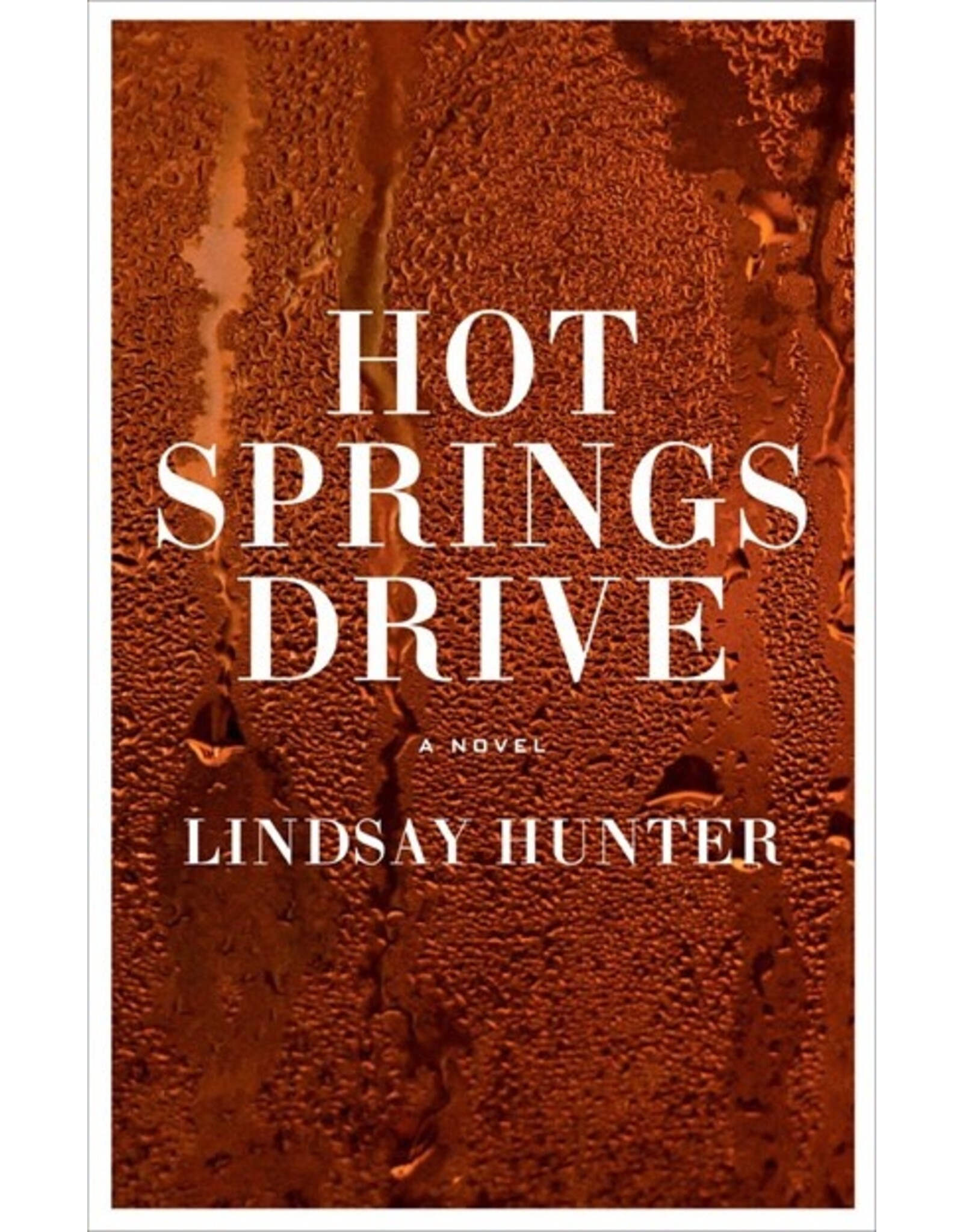 Books Hot Springs Drive : A Novel by Lindsay Hunter
