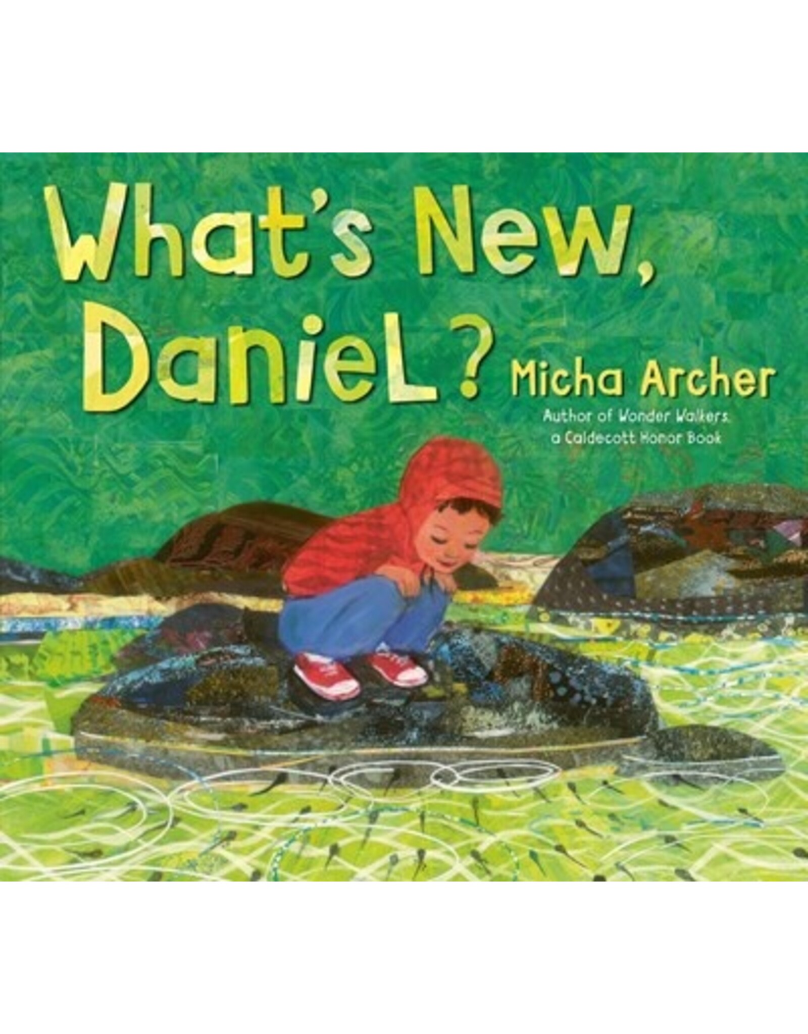 Books What's New Daniel? by Micha Archer