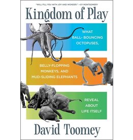 Books Kingdom of Play by David Toomey