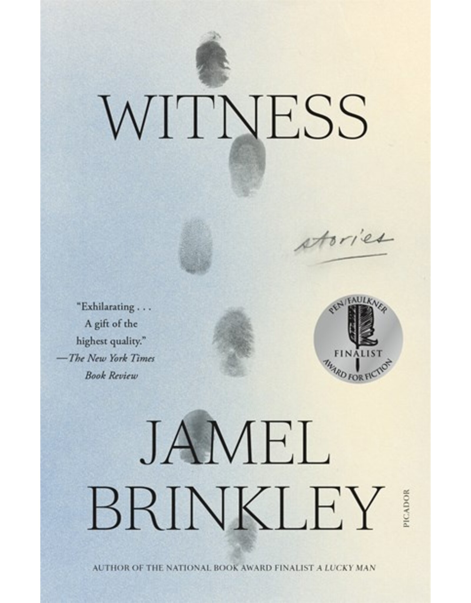 Books Witness: Stories by Jamel Brinkley