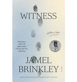 Books Witness: Stories by Jamel Brinkley