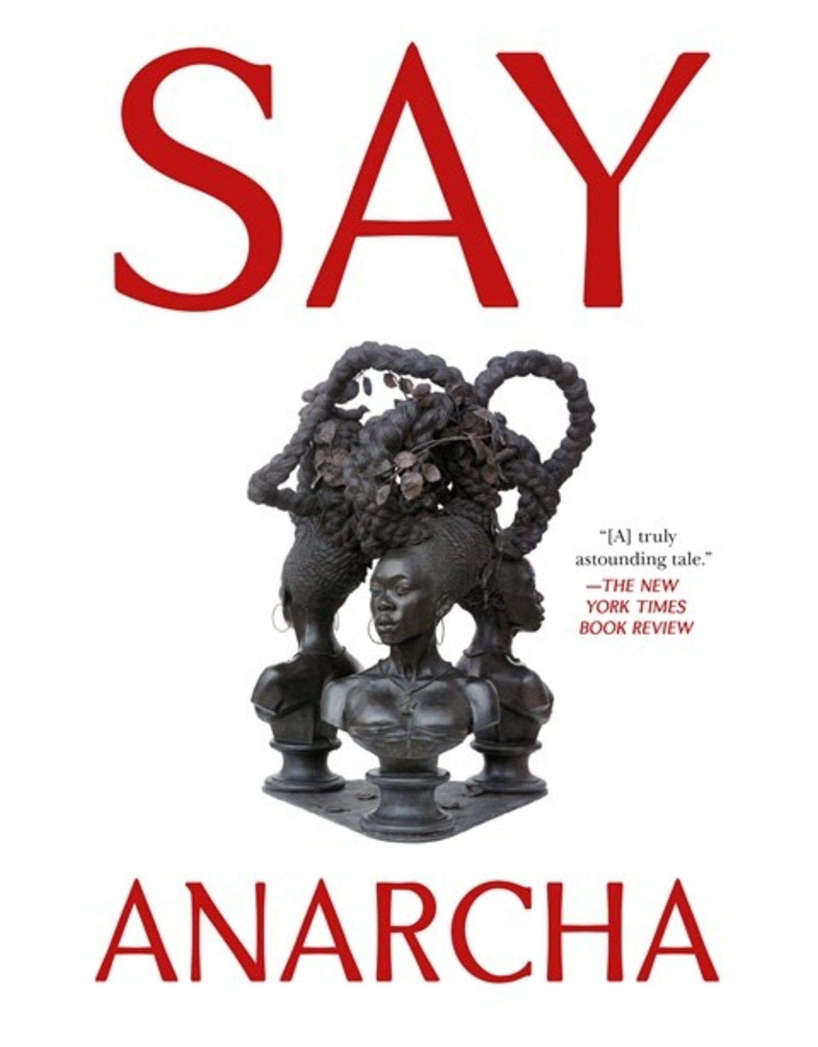 Books Say Anarcha : A Young Woman, a Devious Surgeon, and the Harrowing Birth of Modern Women's Health  J. C. Hallman