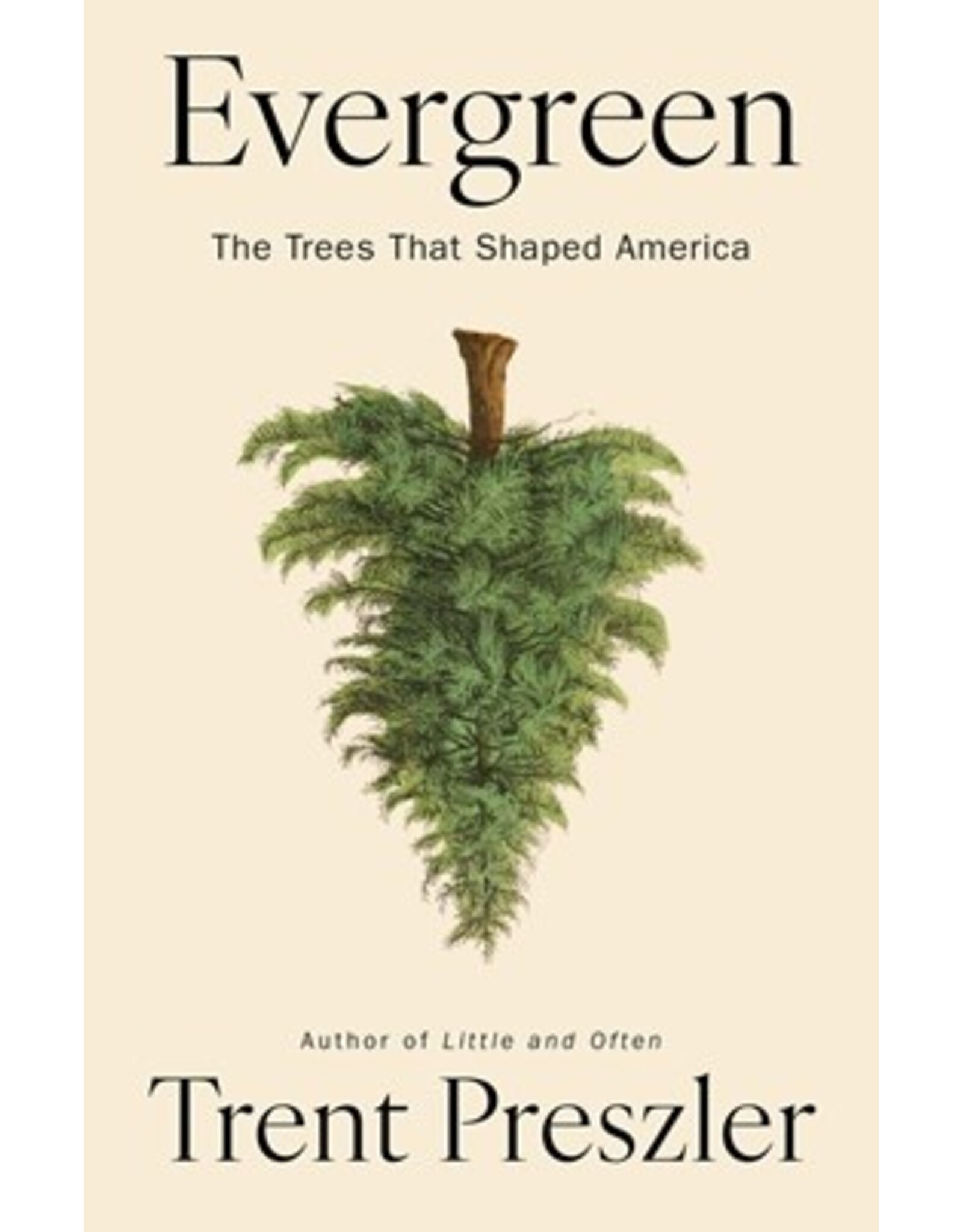 Books Evergreen: The Trees that Shaped America by Trent Preszler