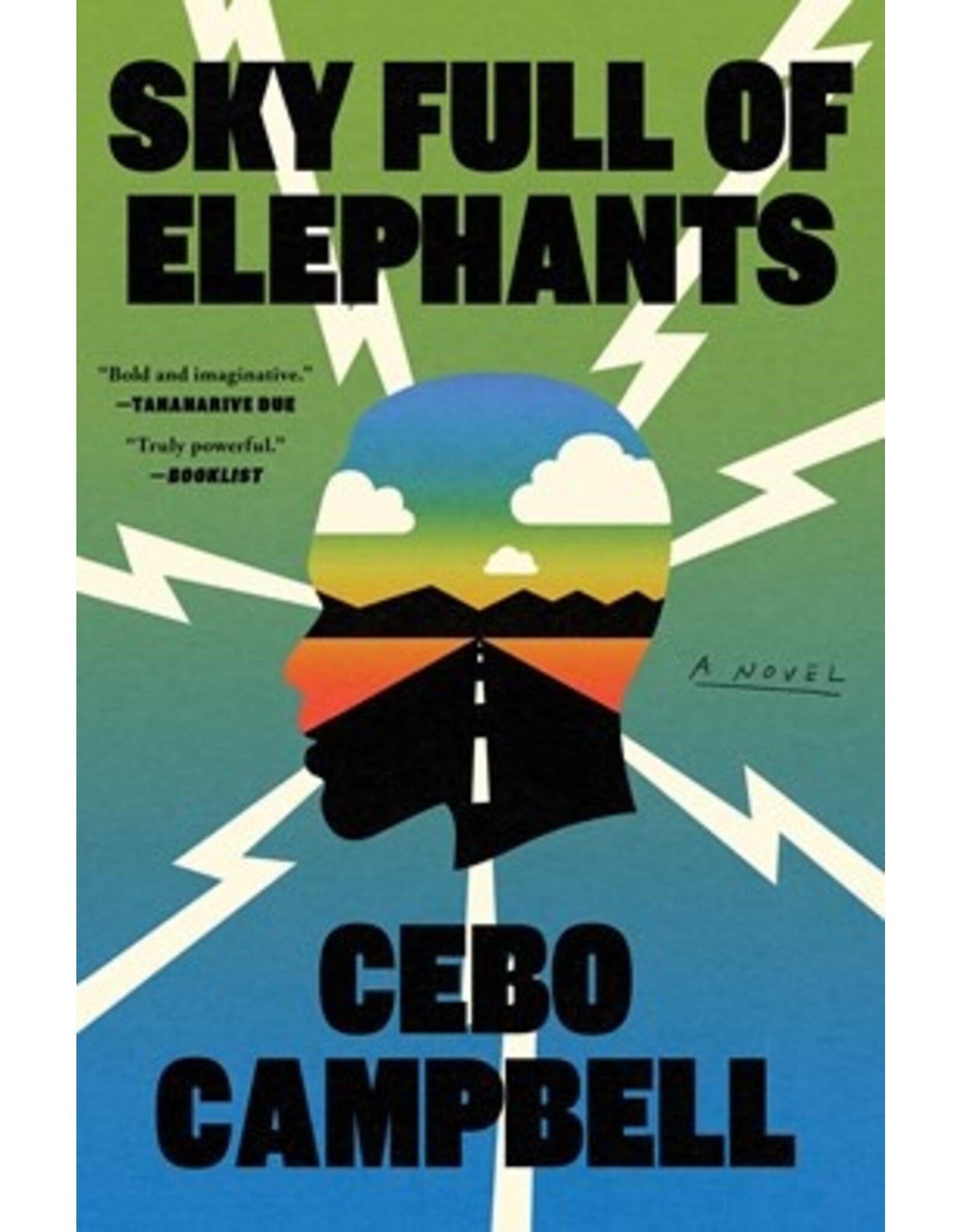 Books Wells Without Water: A Novel by  Cebo Campbell ( Pre-Order)