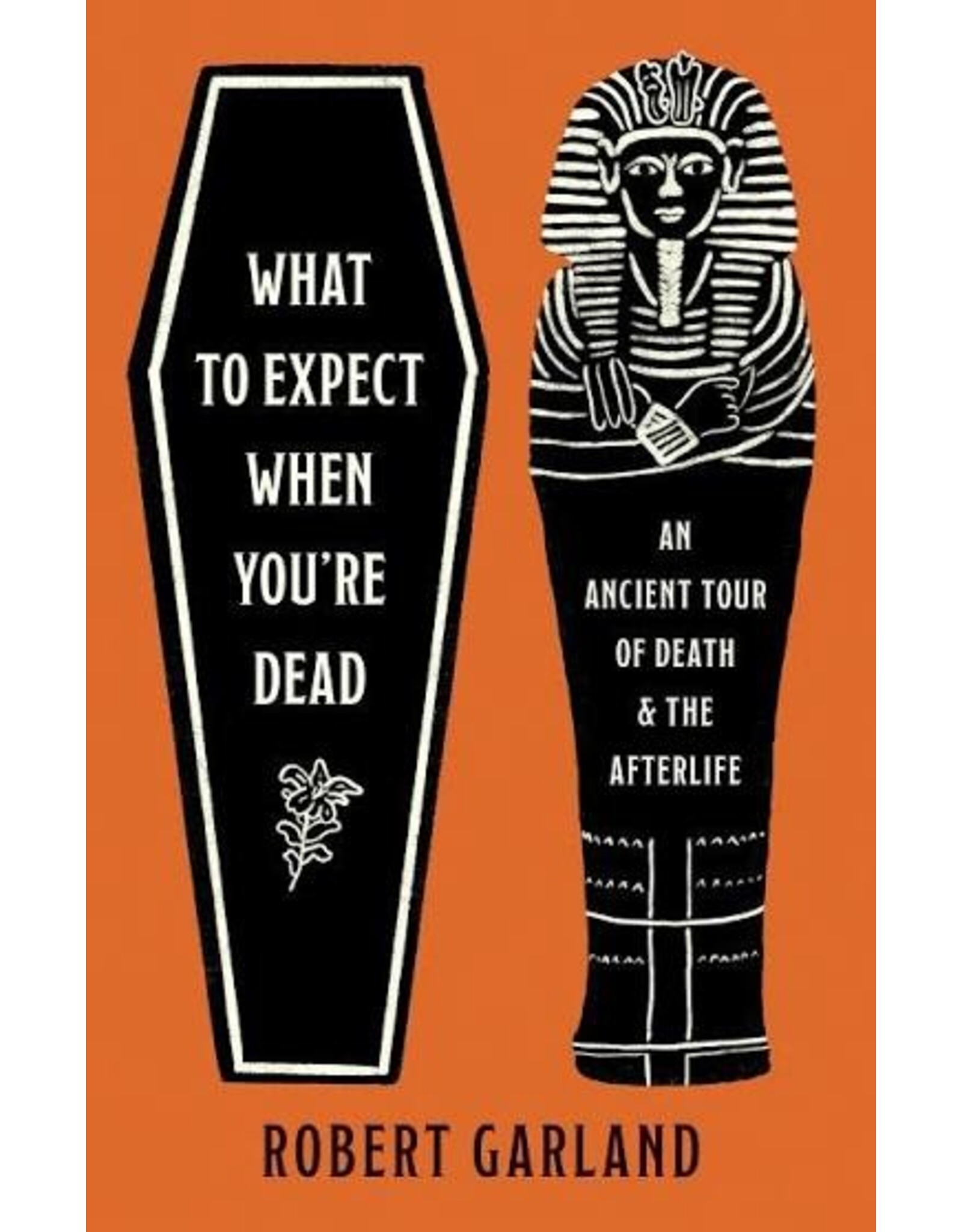 Books What to Expect When You're Dead: An Ancient Tour of Death and the Afterlife by Robert Garland (Elmwood)