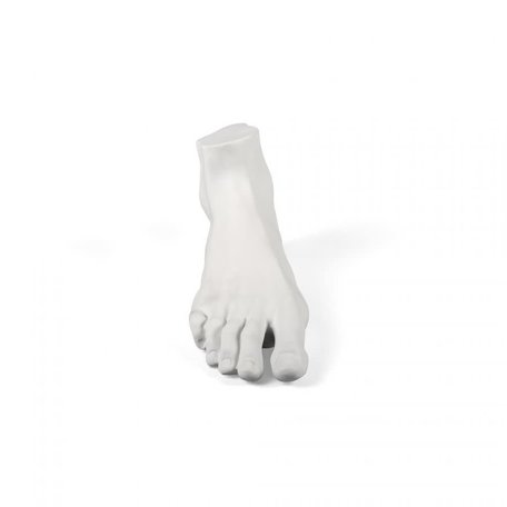 SELETTI - Please Do Not Enter SELETTI - Please Do Not Enter