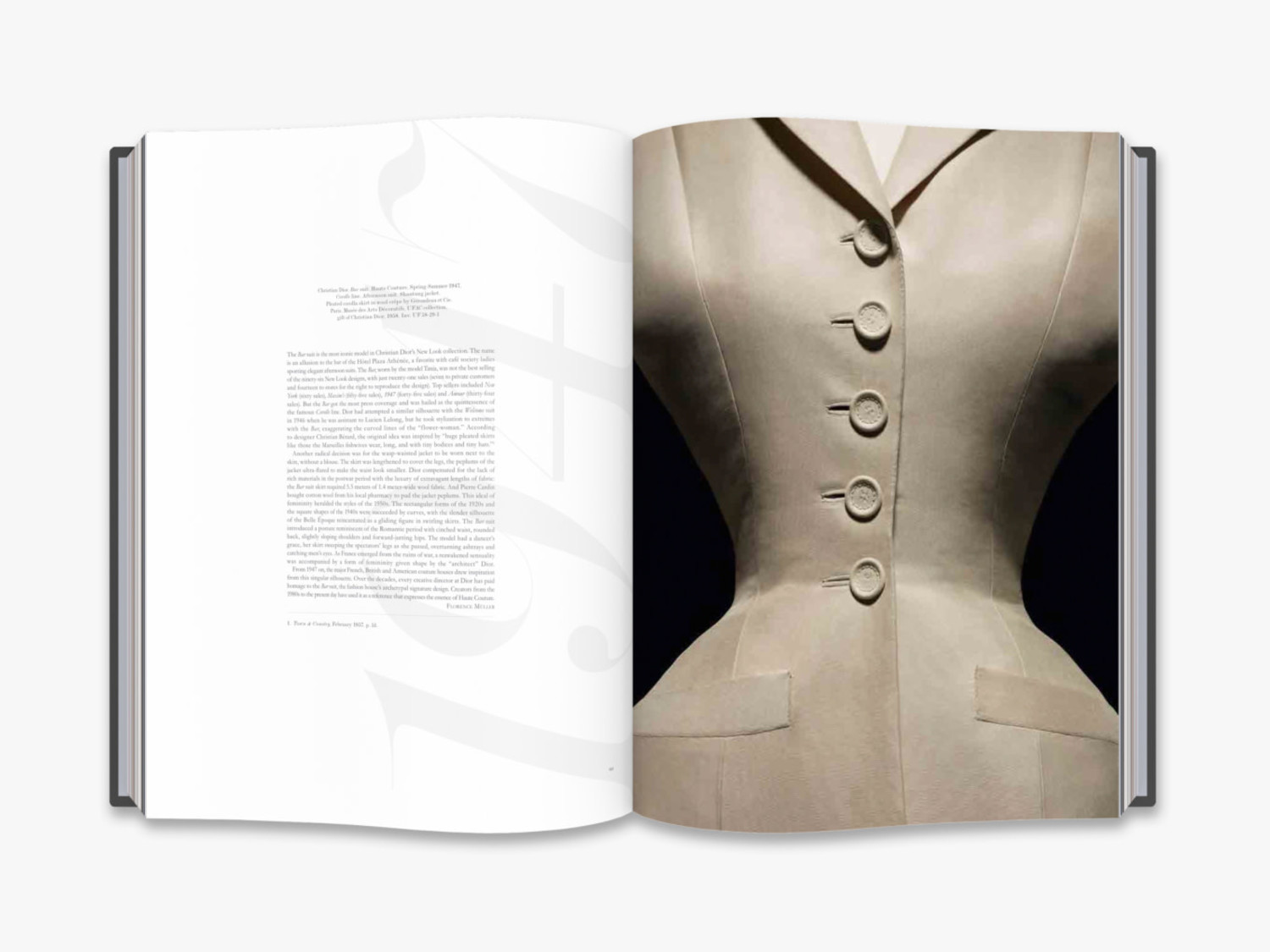 Book: Dior New Looks English Version