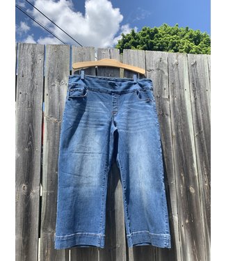 Point Zero Pull-On Jeans