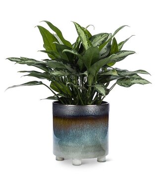 Abbott Ombre Glazed Planter - Large