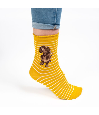 Wrendale Designs Animal Crew Socks - Dachshund