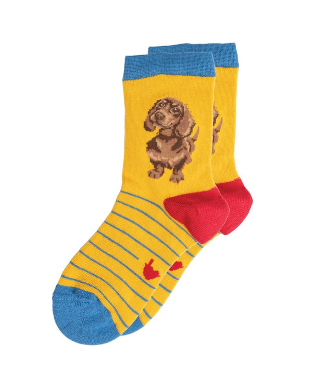 Wrendale Designs Children's Animal Socks - Dachshund