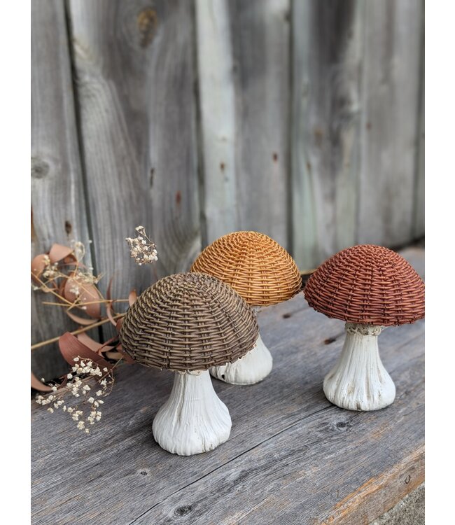 Assorted Mushroom Decoration