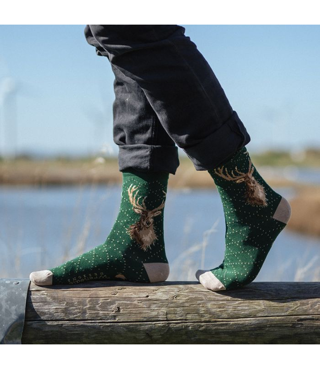 Wrendale Designs Animal Crew Socks - Stag