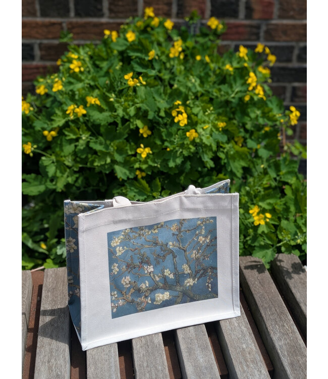 Art Print Canvas Bag