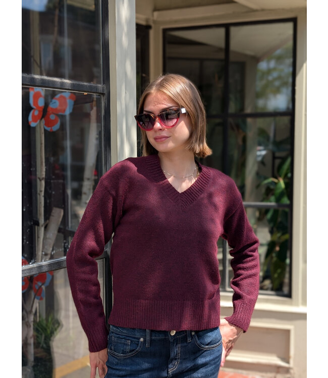 Point Zero V-Neck Sweater - Plum
