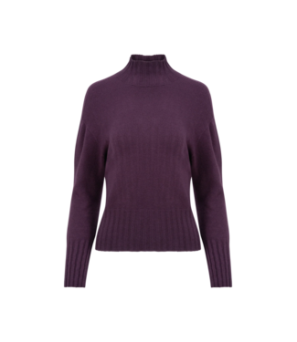 Astrid Cropped Fitted Turtleneck - Purple