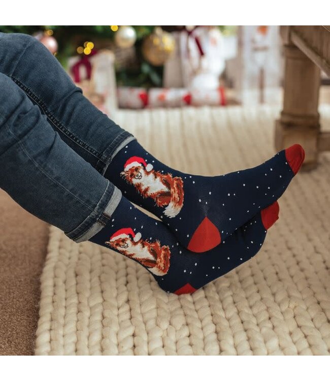 Wrendale Designs Animal Crew Socks - Christmas Fox