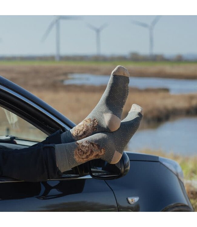 Wrendale Designs Animal Crew Socks - Bear