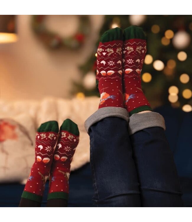 Wrendale Designs Animal Crew Socks - Christmas Robin