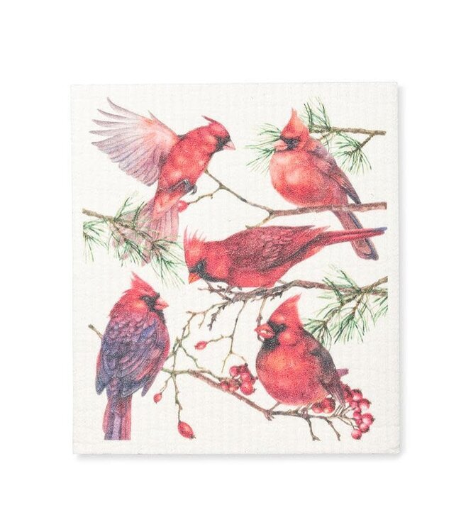 Abbott Dishcloth Single - Cardinals