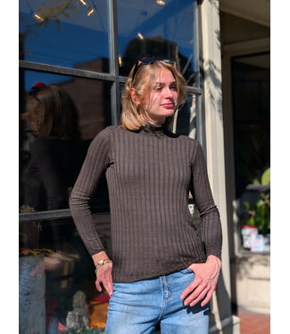 Ribbed Fitted Turtleneck - Chocolate